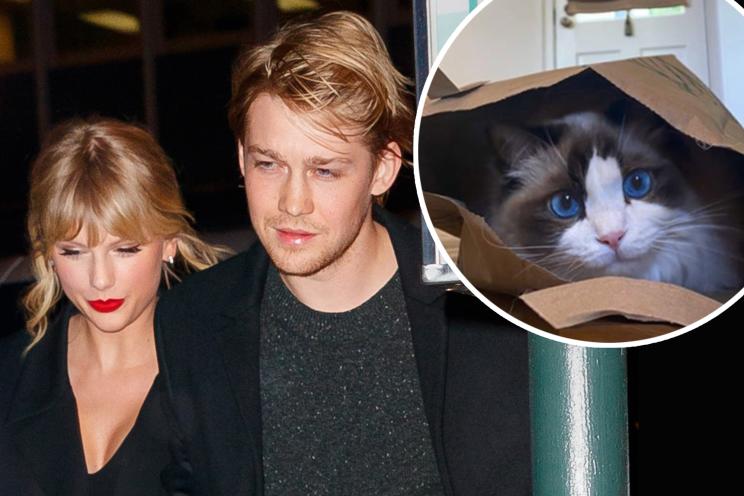 Taylor Swift, Joe Alwyn and their cat