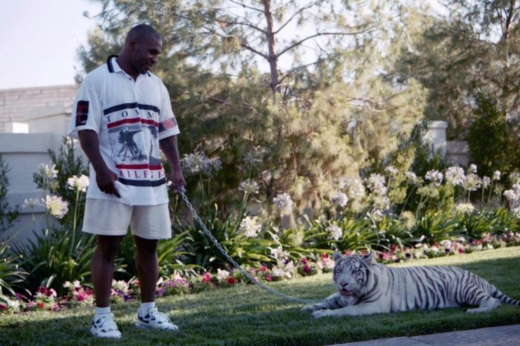 Mike Tyson poses with his white tiger