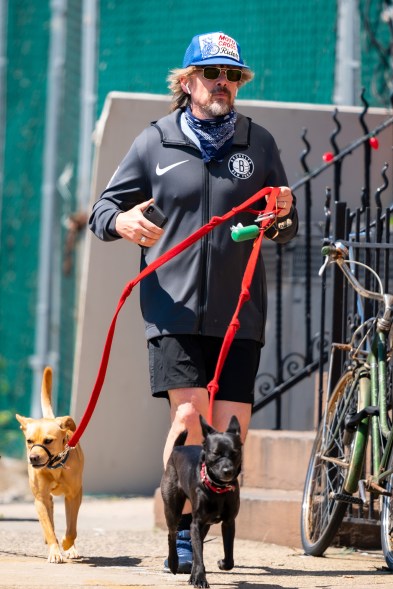 Ethan Hawke runs with his pets in Brooklyn.