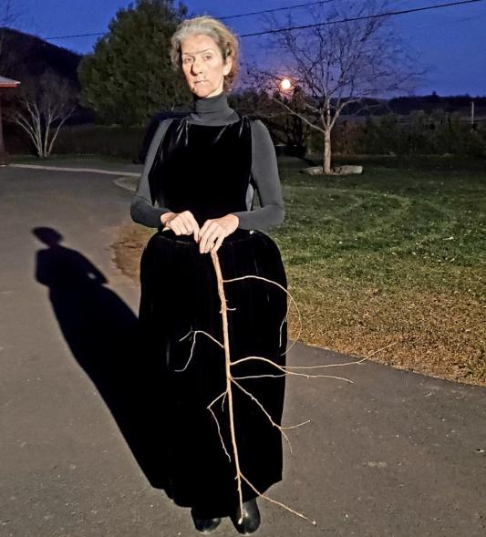 Céline Dion as Nanny McPhee