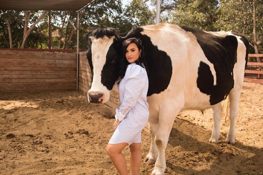 Demi Lovato poses with farm animals at a sanctuary in Watkins Glen, New York.