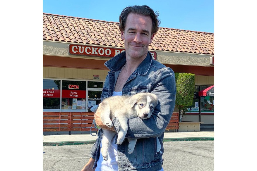 James Van Der Beek poses with a puppy he and his family adopted during a 10-day road trip.