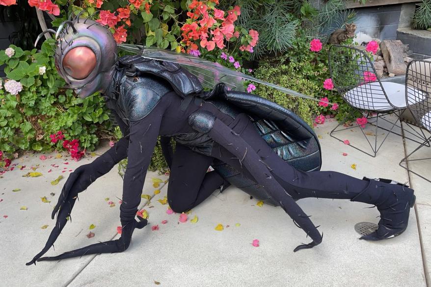 Janelle Monáe as the fly on Mike Pence's head