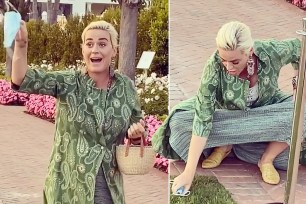 Katy Perry picks up dog poop with her mask.