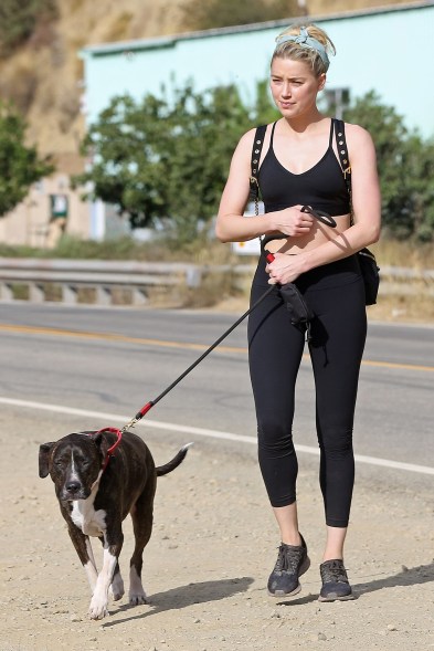 As Johnny Depp loses his libel case in London, his ex-wife Amber Heard hikes in LA with her dog.