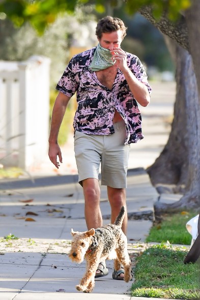 Newly single Armie Hammer keeps his face covered but his shirt open while walking his dog in LA.