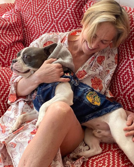 Sharon Stone giggles with her well-dressed dog.