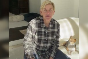 Ellen DeGeneres