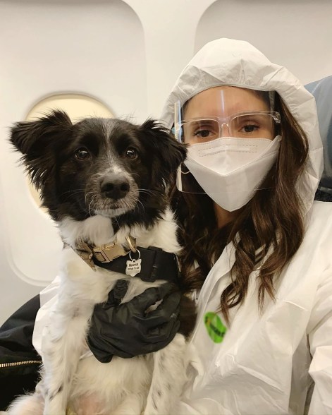 Nina Dobrev suits up in full hazmat gear — and adds some emotional support from her pooch, Maverick — for a flight.