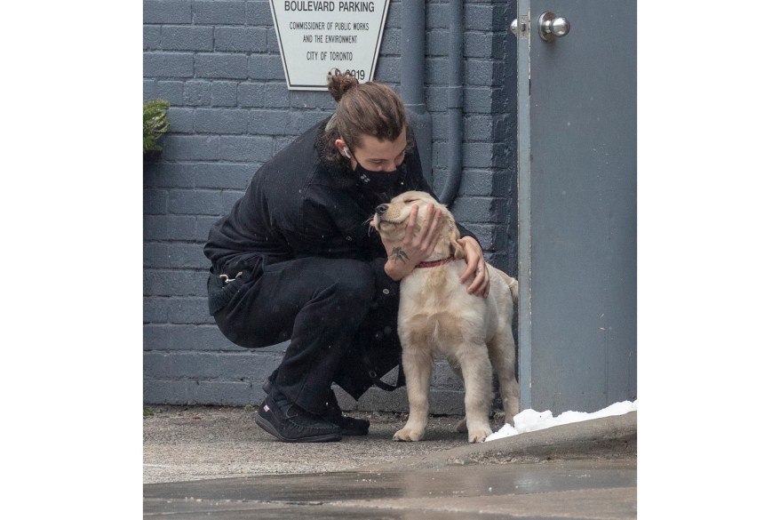 Shawn Mendes gives love to his new pup, Tarzan, while out and about in Toronto.