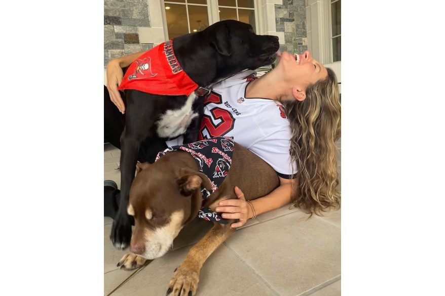 Gisele Bündchen and dogs Lua and Onyx cheer on Tom Brady in the NFL playoffs.