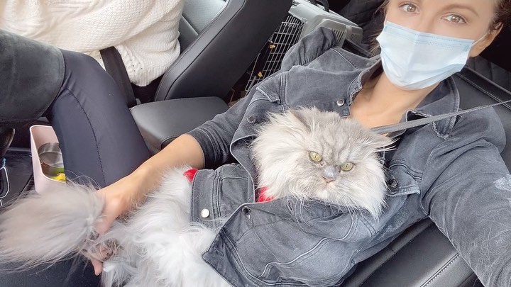 While in the car, Kate Beckinsale keeps her cat secured in her jacket.