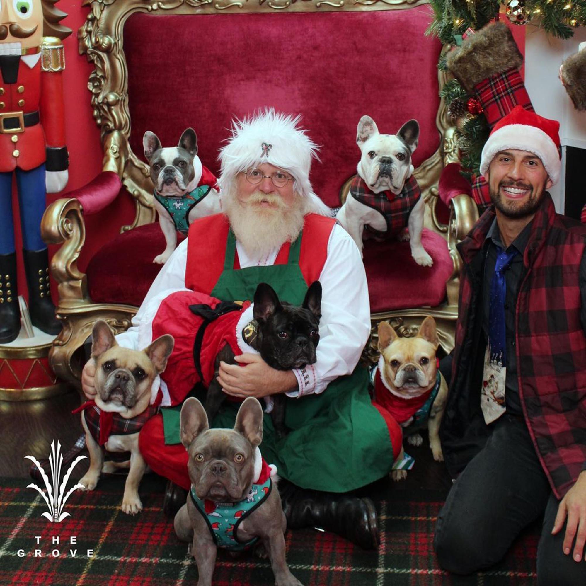 Lady Gaga's dog walker, Ryan Fischer, poses with a bunch of pups and Santa.