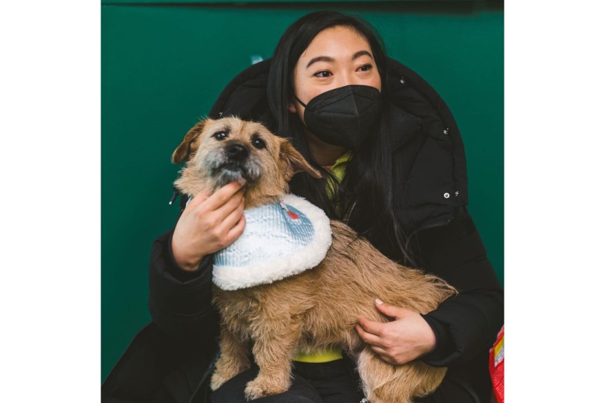 Awkwafina adopts Haeng-Un Lum, a 3-year-old puppy from Korea.