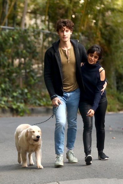 Shawn Mendes and Camila Cabello look snuggly as they walk their dog in LA.
