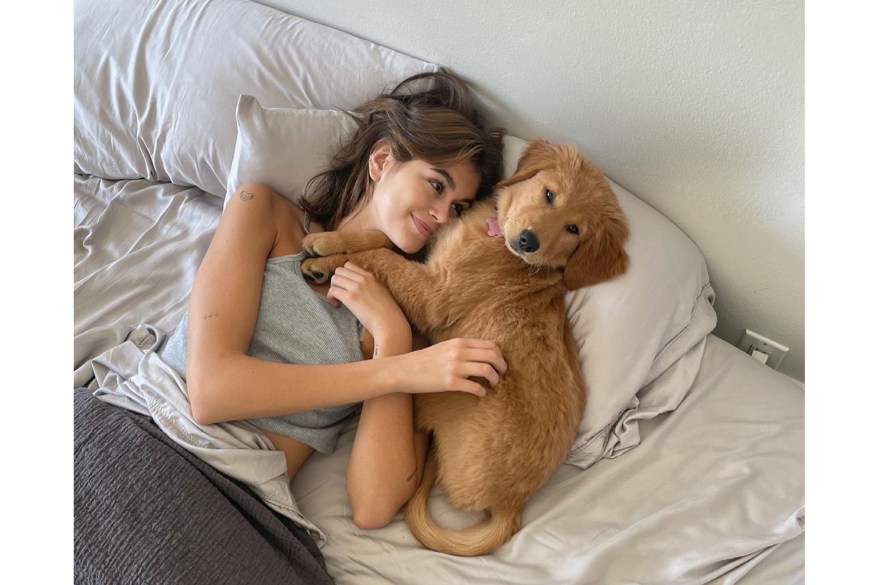 “Bed head !!!!!!!!” says Kaia Gerber, snuggling with her new pup.