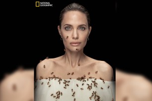 Angelina Jolie covered in bees.