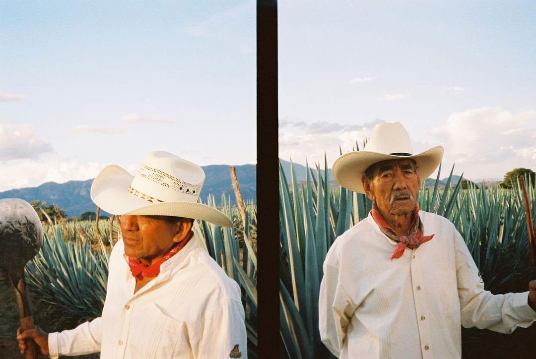 Agave farmers featured in Jenner's 818 Tequila ad.