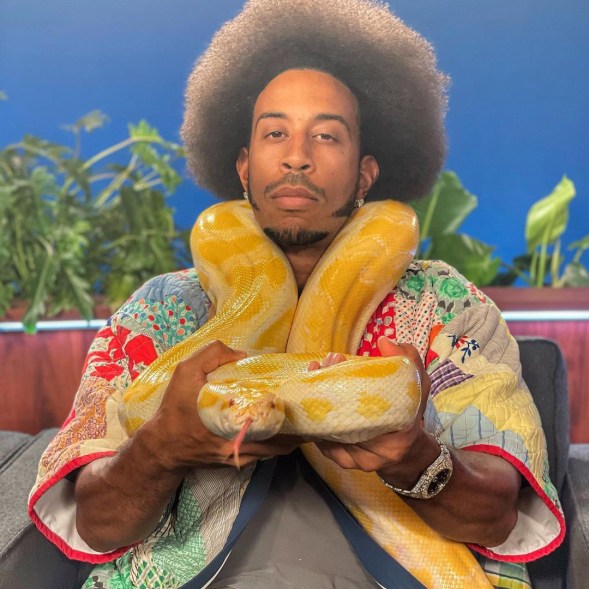 Ludacris poses with a giant snake