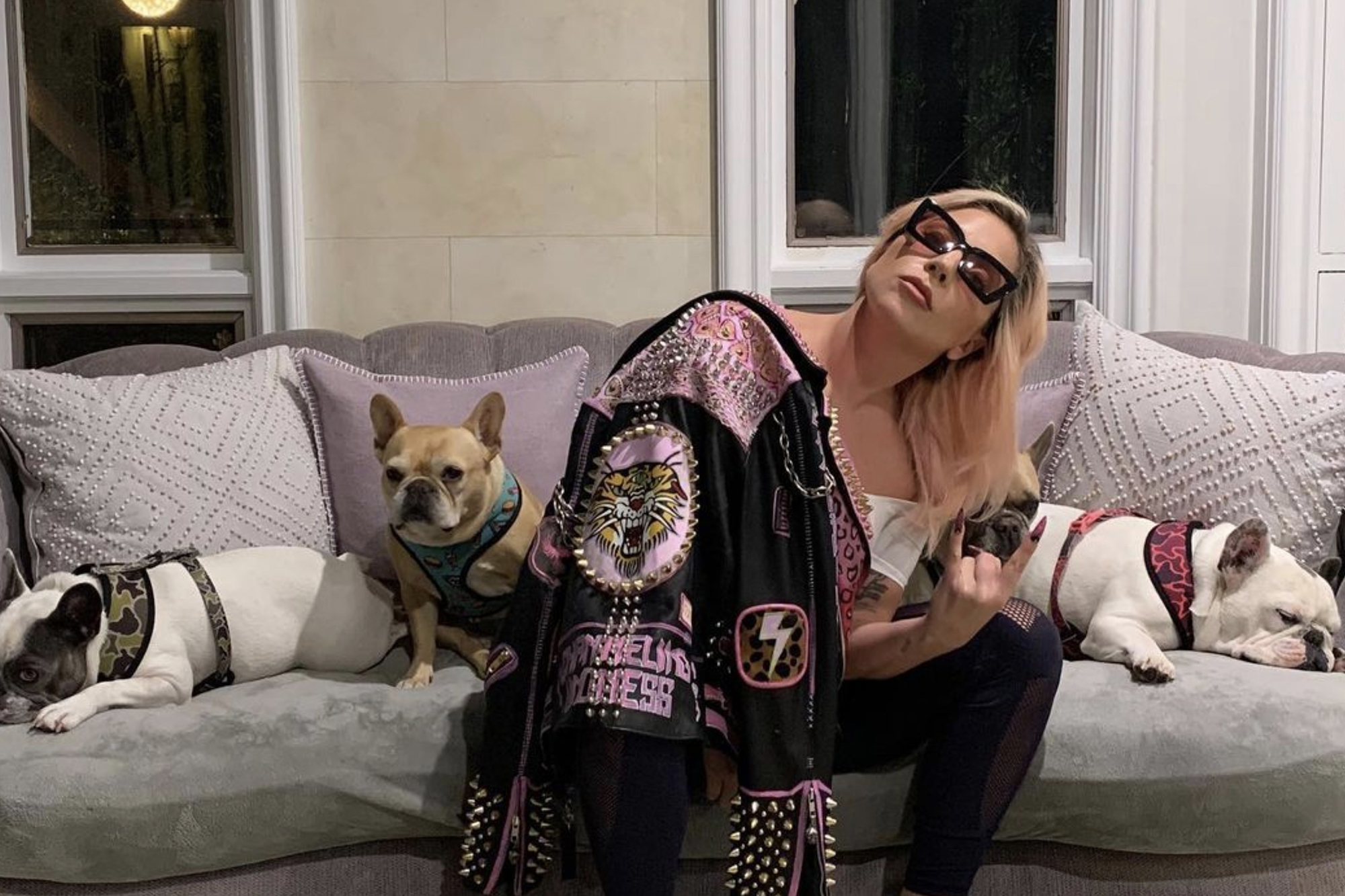 Lady Gaga offered up to a $500,000 reward for the return of the dogs, following the shooting and dognapping.