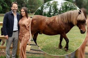 Seth and Meredith Marks with Danny DeVito (the horse) inset.