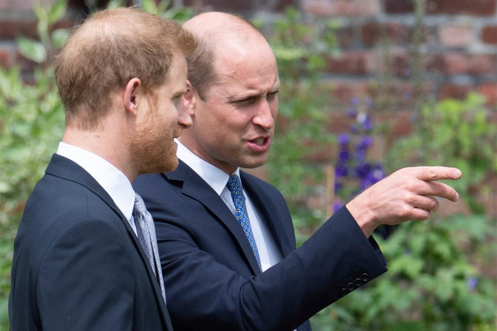 Prince William and Prince Harry