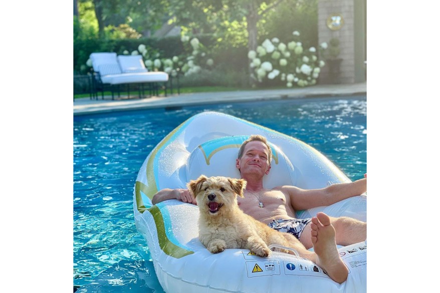 DOGGY PADDLE: Neil Patrick Harris and his dog Gidget keep it cool in the pool.