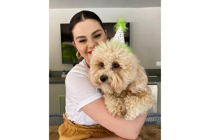 PARTY ANIMAL: Selena Gomez’s dog, Daisy, dazzles in her party hat for the singer’s 29th birthday.