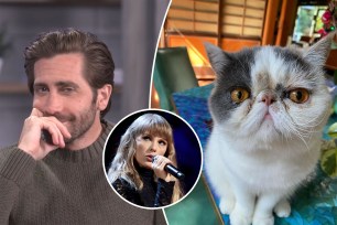 A triple photo of Jake Gyllenhaal, his rumored cat and Taylor Swift