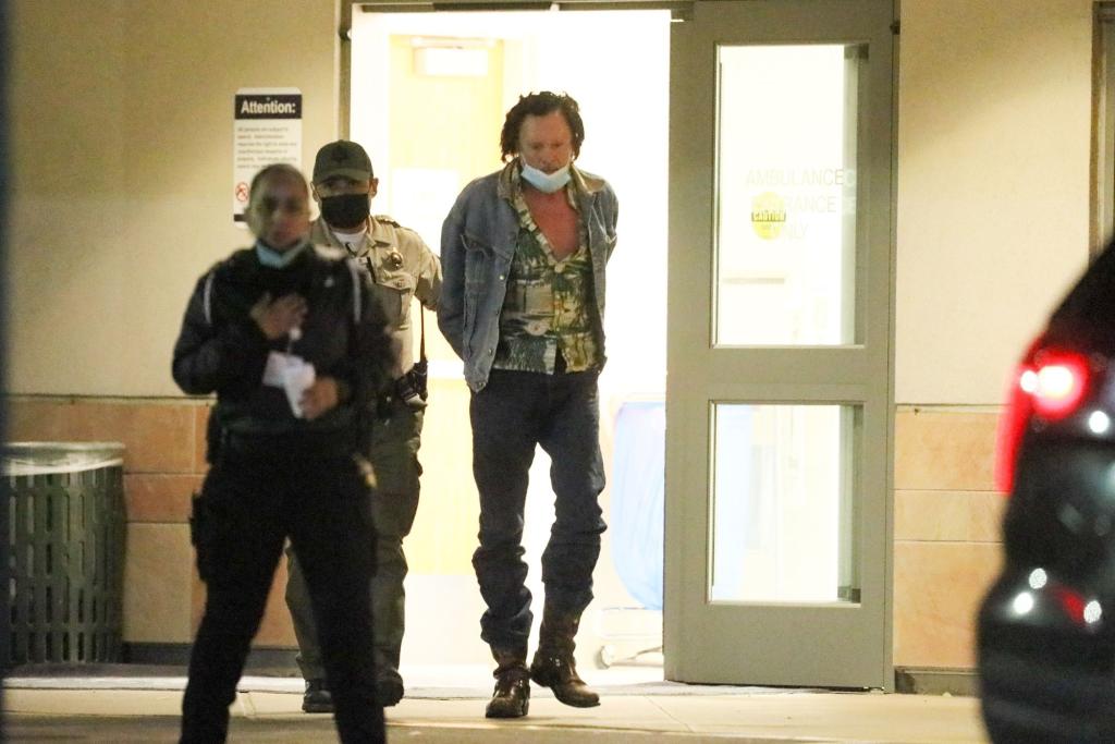 Michael Madsen during his arrest in Malibu.