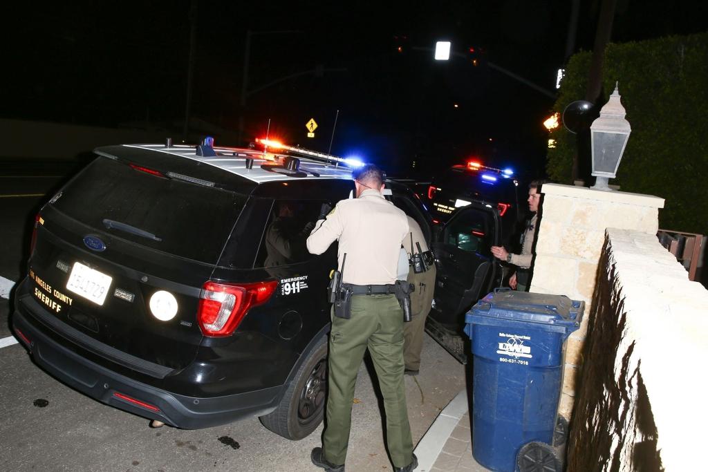 Michael Madsen is placed in an LA County Sheriff's vehicle.