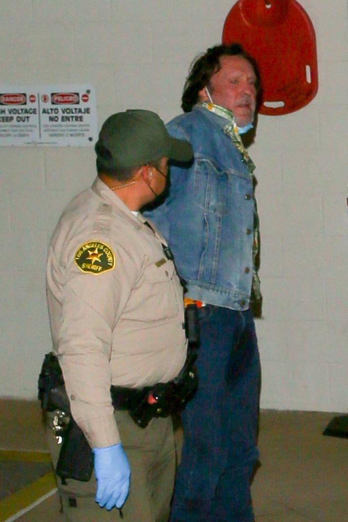 Michael Madsen is escorted from his home in Malibu.