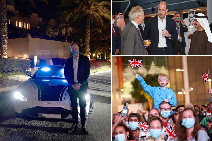 Photos from Prince William's trip to Dubai.