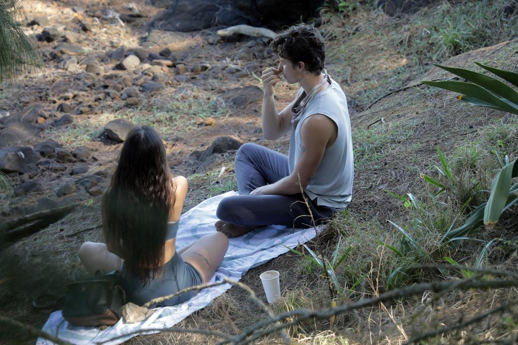 Shawn Mendes and Hitomi Mochizuki in Hawaii