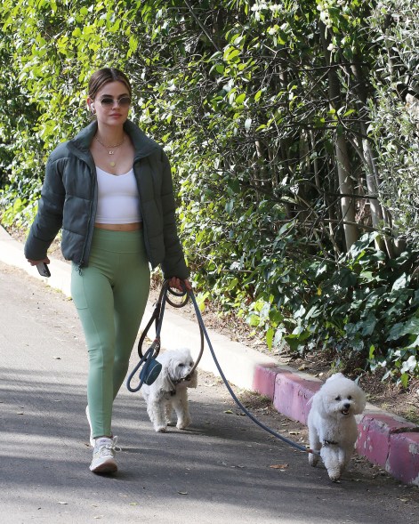 Lucy Hale takes her dogs for a walk.