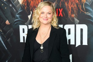 Amy Poehler on a red carpet.