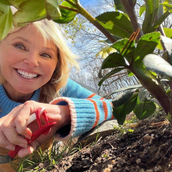 Christie Brinkley gardening