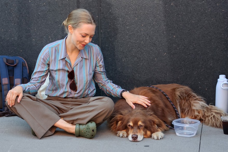 ON THE JOB WITH MOM: On the set of “The Crowded Room” in Brooklyn, Amanda Seyfried and her longtime pal Finn take their mandated breaks.