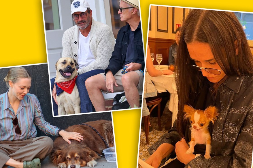 Amanda Seyfried, Jon Hamm and Demi Moore enjoy the 'dog' days of summer.