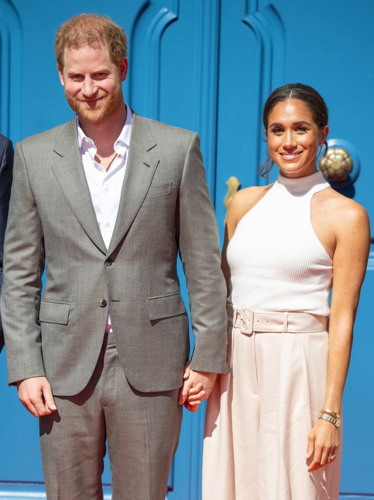 prince harry and meghan markle