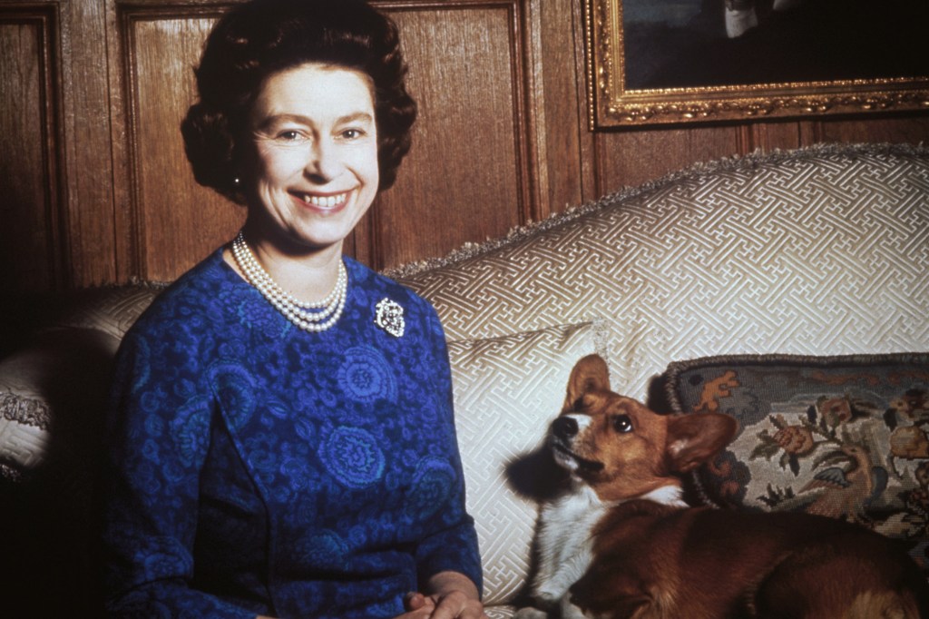 A photo of Queen Elizabeth II with one of her beloved corgis