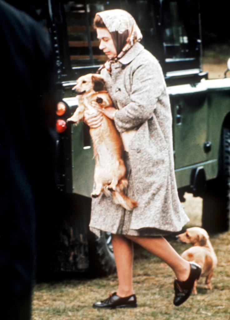 HRH Queen Elizabeth II carries one of her pet dogs at Windsor Great Park,England.