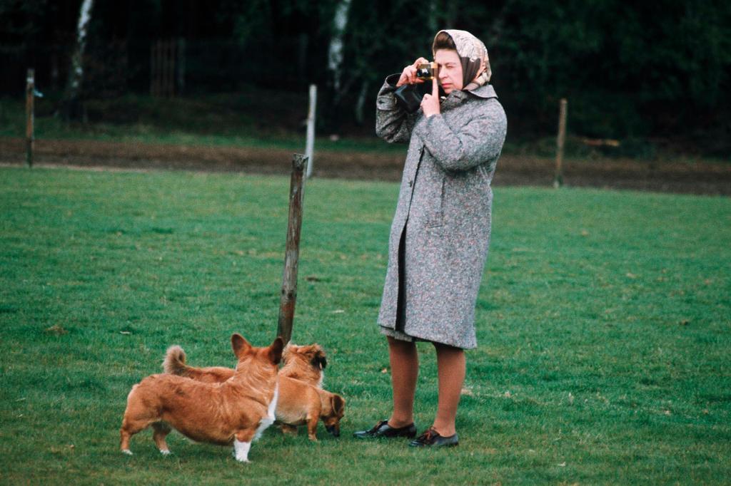 Queen Elizabeth II photographing her corgis at Windsor Park in 1960 in Windsor, England.