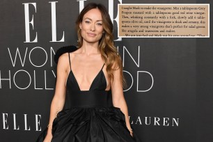 Olivia Wilde shared a cryptic book passage about salad dressings amid her nanny drama.
