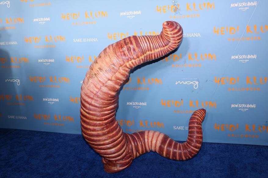 Heidi Klum s a worm.