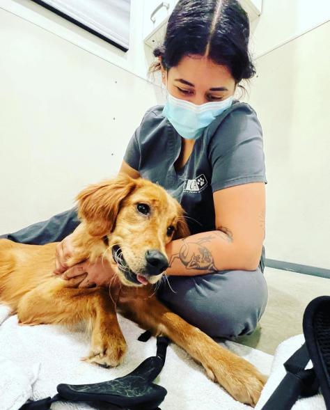 A vet sitting on the floor with a dog.