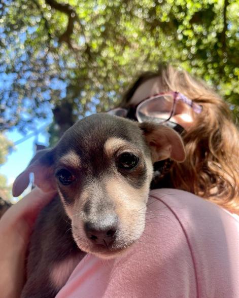 A woman holding a dog.