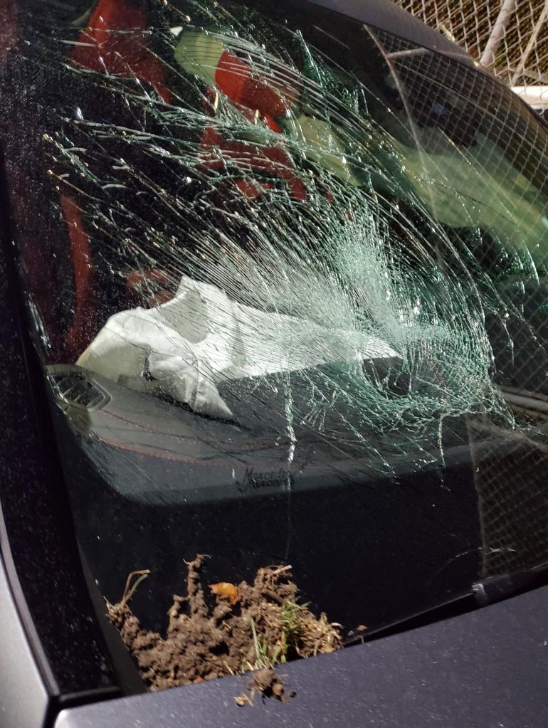 a shattered car windshield