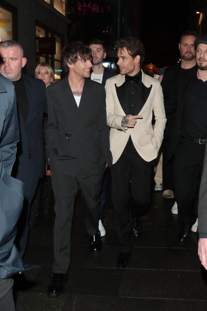 Louis Tomlinson and Liam Payne at the premiere of "All of Those Voices."
