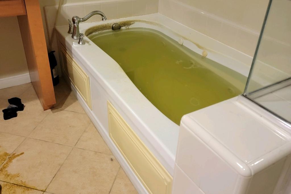 bathtub filled with green water